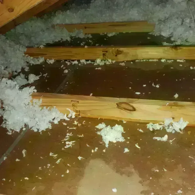 Attic Water Damage in Millis, MA